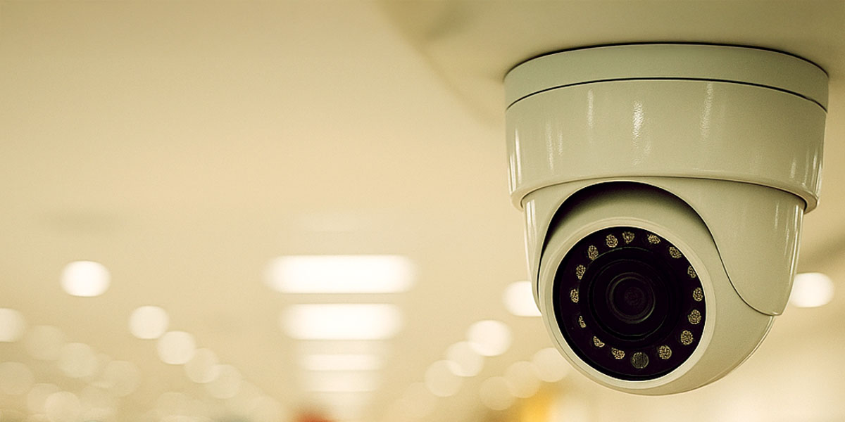 Shrink, Strategy, and the New Economics of Retail Loss Prevention